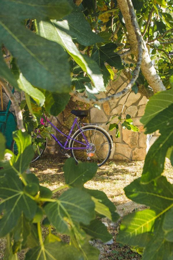 Apartmani Alic Šibenik Exteriér fotografie